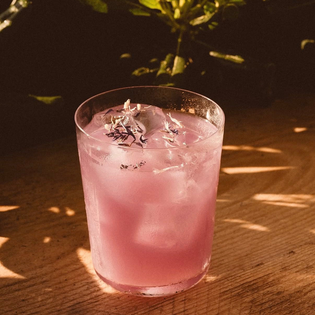 Cocktail workshop - Satori